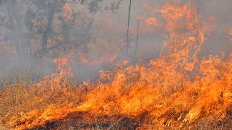 Голям пожар в Гълъбово, обявено е бедствено положение*