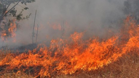 Продължава битката с пожара в община Гълъбово