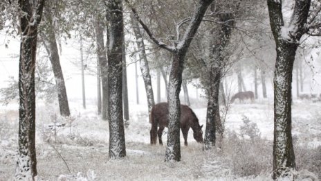 Денят в снимки – 28 октомври