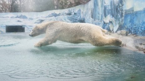 Денят в снимки – 16 ноември