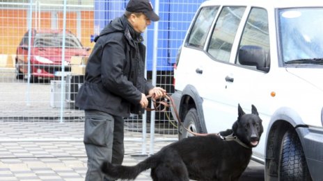 19 задържани в Косово, готвили атаки в страната и Албания