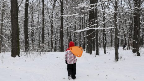 Студът се връща! Температурите утре през деня – минусови