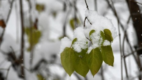 Новогодишната нощ: Без валежи, ясна, с температури до -5°