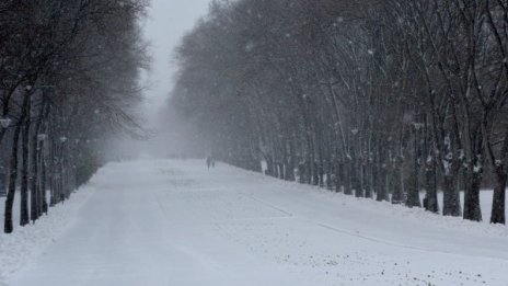 Двама мигранти станаха жертва на студа край Бургас