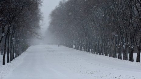 295 селища са без ток – в Сливен, Добрич, Силистра...