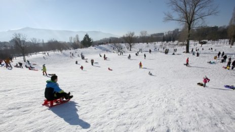 Снежна радост за малки и големи! Днес е денят на снега!