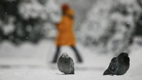 И топло, и студено. Февруари – месецът на контрастите