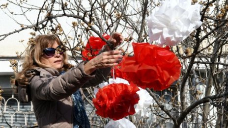 Баба Марта бързала! В Студентски град вързала