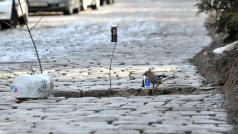 Заедно с кокичетата "цъфнаха" и дупките в столицата