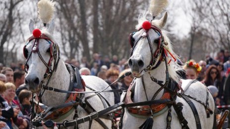 Кушии и коне: Отбелязваме Тодоровден