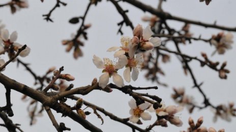 Топлото време се връща, утре – до 21 градуса