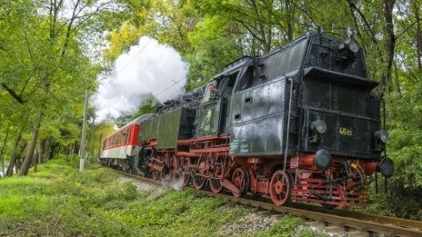 Баба Меца ще пътува за Лазаровден и Цветница