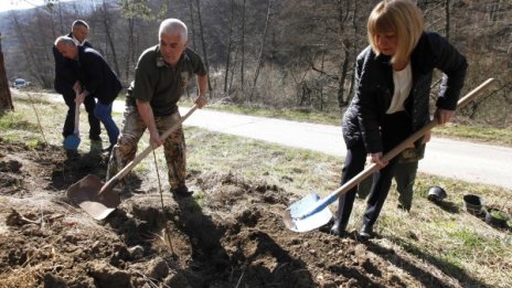 За зелена София: Нови дървета на 70 улици и булеварди