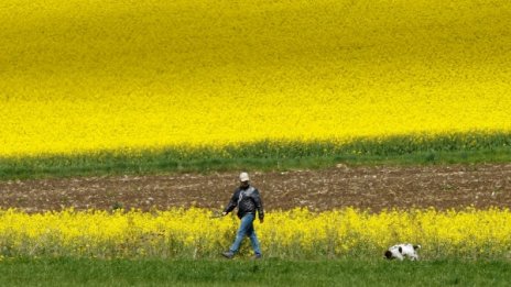 Жега през юни! Леко разхлаждане – към средата му