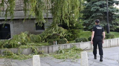 Клон падна върху минувач. Той изгуби съзнание