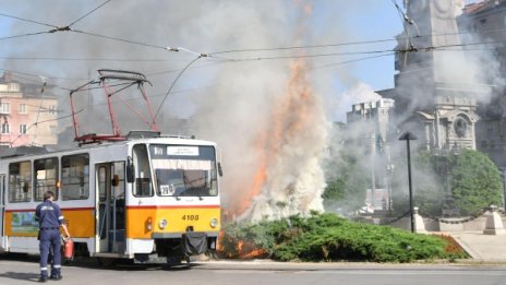 Трамвайни жици подпалиха треви до паметника Левски 