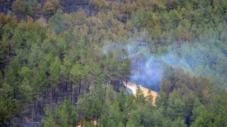 Близо 160 доброволни формирования са създадени за 5 г.