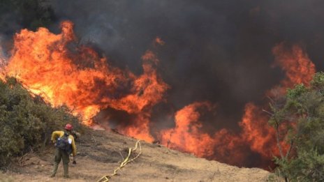 Горски пожари наложиха евакуация в Калифорния