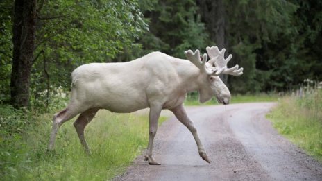 Денят в снимки – 15 август