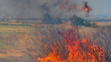 Пожар изпепели 10 дкаа орехова гора в Монтанско