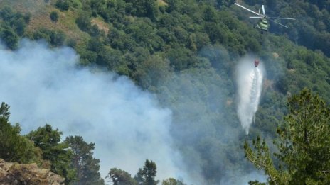 В сезона на пожарите огнеборците борили 130 огнища на ден