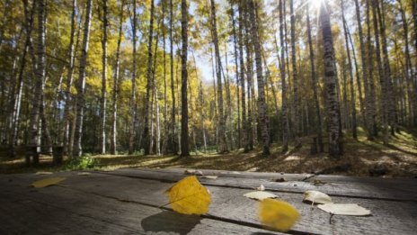 Топлото време не си е отишло, до 26°С в четвъртък 