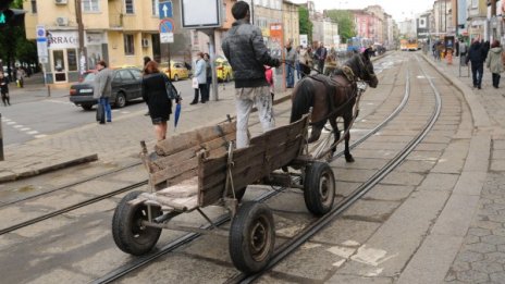 Пиян каруцар предизвика тежка катастрофа в София