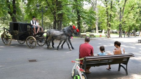 Спокойно! Софиянци ще си пият в парковете, но тихо и кротичко