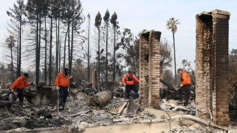 Калифорния ще се възстановява с години  от пожарите