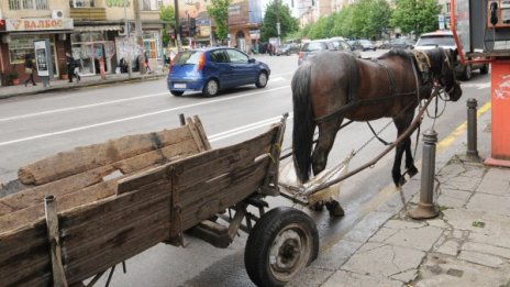 Полицаи с внезапни проверки: Дирят каруци из София