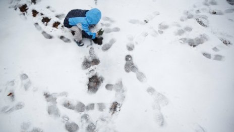 Идва студ, а с него и сняг, затопляне от вторник