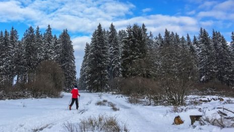 Слънчева зима, температурите до 14 градуса