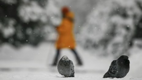 Денят започва със слънце, но ще завърши с дъжд 