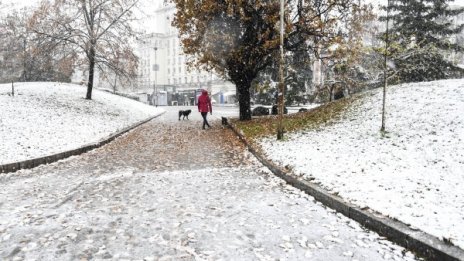 Сняг и студ пристигат с "Албена" в началото на седмицата