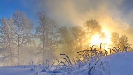 Януарска пролет: Днес 14°C, във вторник 16°C...