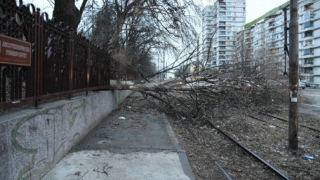 Най-ветровито и дъждовно ще е в Югоизточна България