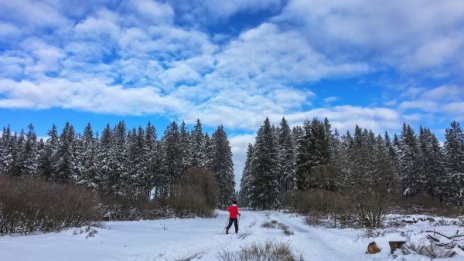 И днес пролетно и слънчево. Температурите до 13°C