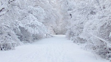 Малък Сечко се мръщи: Дъждове в събота, виелици в неделя