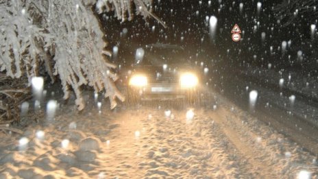 Двамата застреляни край Пампорово: Убийство и самоубийство!