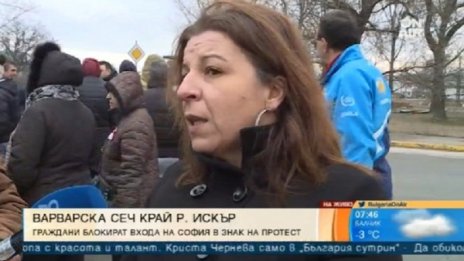 Сеч на дървета изкара жителите на цял квартал на протест