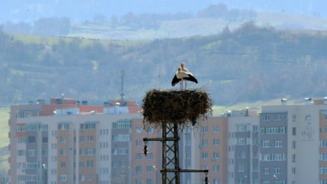 Денят в снимки – 15 март