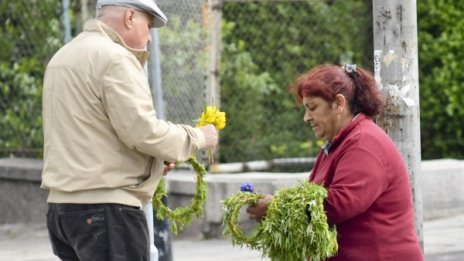 Купувайте цветя и клонки от регламентирани търговци!