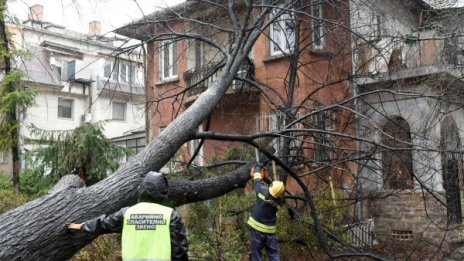 Внимание! Бурен вятър в 17 области в страната