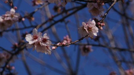 Слънчево, но хладно и много ветровито – времето днес