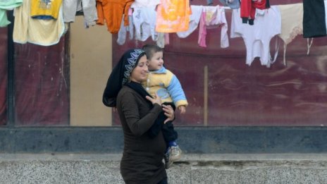 Статистика: Дали сме убежище основно на сирийци