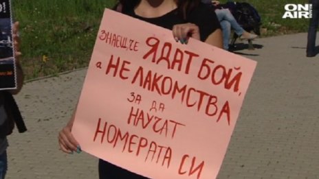 Веган протест срещу цирка: Не дръжте животните като роби