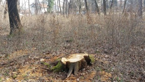 По-строги наказания за незаконна сеч, бракониерство...