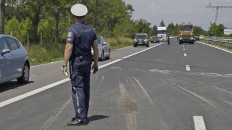 Държавата плаща на шофьор заради катастрофа с... глигани