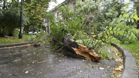 Наводнени улици и паднали дървета след пороя в София