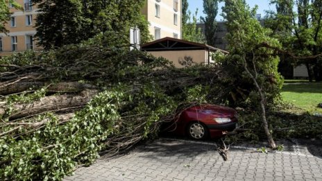 Буря и проливни дъждове взеха жертва в Полша